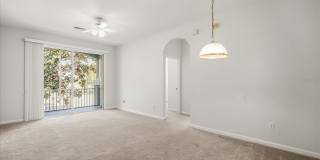 8101 COCONUT PALM WAY Gallery 3