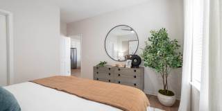 Alta Citron Gallery 62