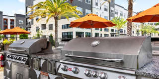 Hue on Greenhouse Gallery 19