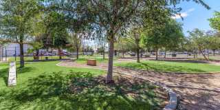 Aster on University Gallery 22