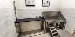 The Emmett on Montague Gallery 8