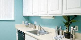 Emory Woods Gallery 12