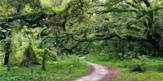 9470 Poinciana Pl Gallery 18