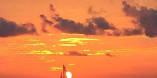 13129 THOROUGHBRED Loop Gallery 34