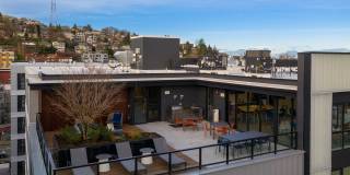 Center Steps Center Steps Gallery 28