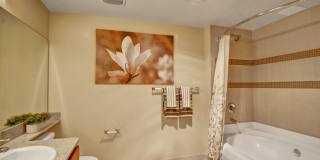 The Artiste Apartment Homes Gallery 21
