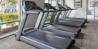 Bell South Lamar Gallery 18