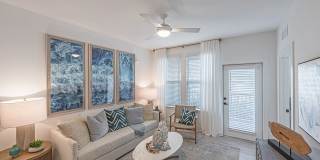 Elevate Navarre Elevate Navarre Gallery 5