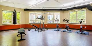 Wheaton 121 Gallery 19