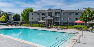 Orchard Cove Gallery 11