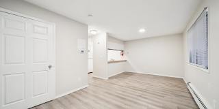 Nicole Gallery 11