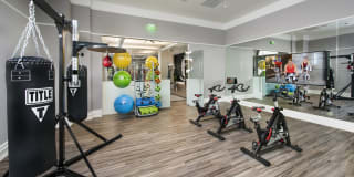 Olympus Harbour Island Gallery 9