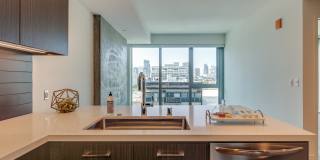 The Merian Gallery 46