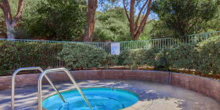 The Terrace Apartments Gallery 8