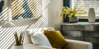 Halo Decatur Gallery 22