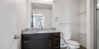 Ellis Bethesda Gallery 8