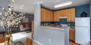 Pinnacle at Town Center Gallery 5