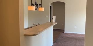 Beautiful Condo! Gallery 7