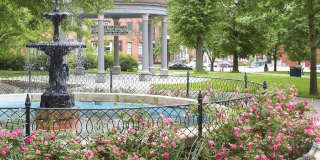 1315 Hollins Street Gallery 9