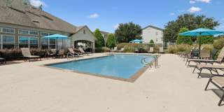 Bayou Reserve Gallery 52