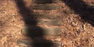 6026 Coltswood Court Gallery 33