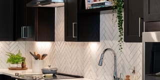 Alexan Florence Gallery 9