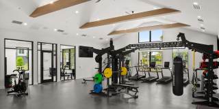 The Murray Gallery 14