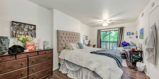 3102 Cedar Gallery 25