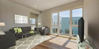 Little Zoe Gallery 20