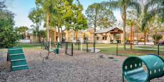 Canopy Apartment Villas Gallery 7