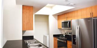 Colony at Dadeland Gallery 14