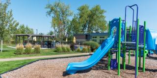 Shoreview Grand Gallery 42