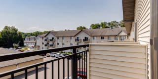 White Pines Gallery 36