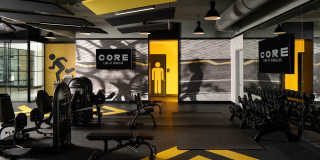 Core Link at Douglas Gallery 14