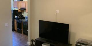 NORTH END 2 BED!! Gallery 1