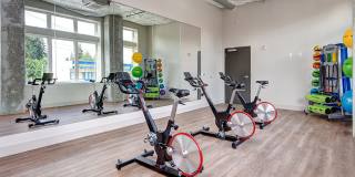 Hazel Apartments Gallery 23