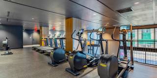 Library Park Apartment Gallery 2