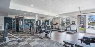 Populus Waterside Gallery 10