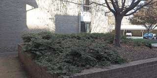 10 MONROE Gallery 16