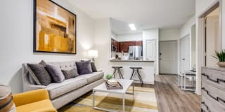 Cool Springs at Frisco Bridges Gallery 12