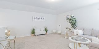 7019 CAPELLA CV Gallery 27