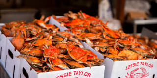 The Channel Gallery 40