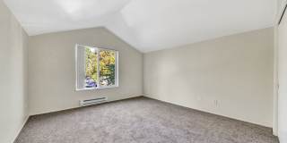Hampton Park Gallery 19