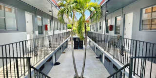 Parkside Flats - Walk to Young Circle! Gallery 1