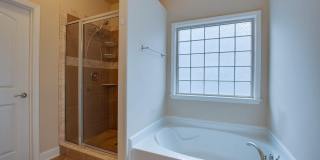 407 E Mossyleaf Drive Gallery 18