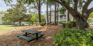 Village Green Gallery 29