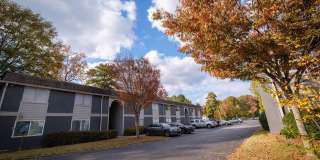 Adar at Golden Gate Gallery 9