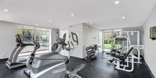 Jefferson Chase Gallery 13