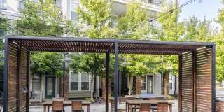Bluebird Row Gallery 29