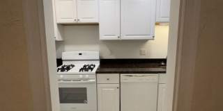 New King Edward Gallery 736